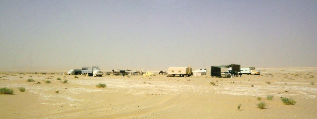 Caravane dans le désert