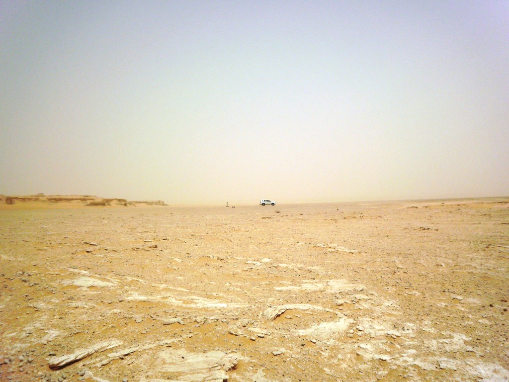 Désert du Qatar